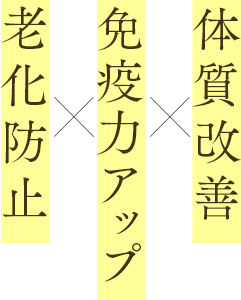 体質改善×免疫力UP×老化防止